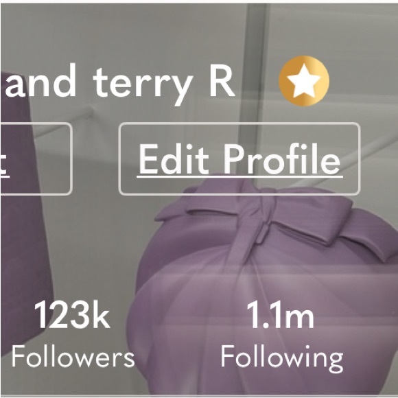 GOLD BADGE AMBASSADOR - Picture 7 of 7